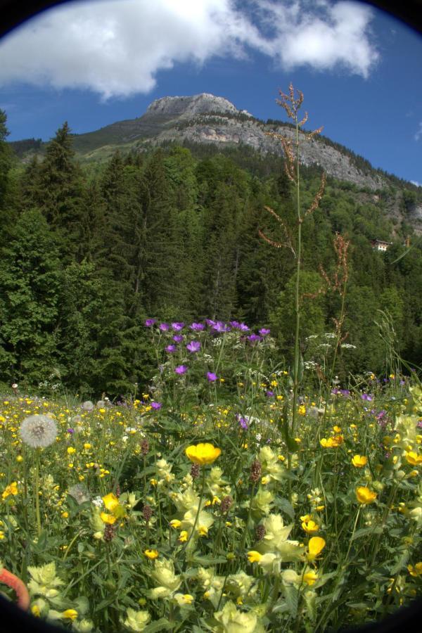 Charmieux Appartement En Chalet Typique Le Grand-Bornand Dış mekan fotoğraf