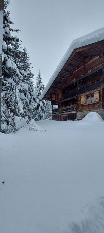 Charmieux Appartement En Chalet Typique Le Grand-Bornand Dış mekan fotoğraf