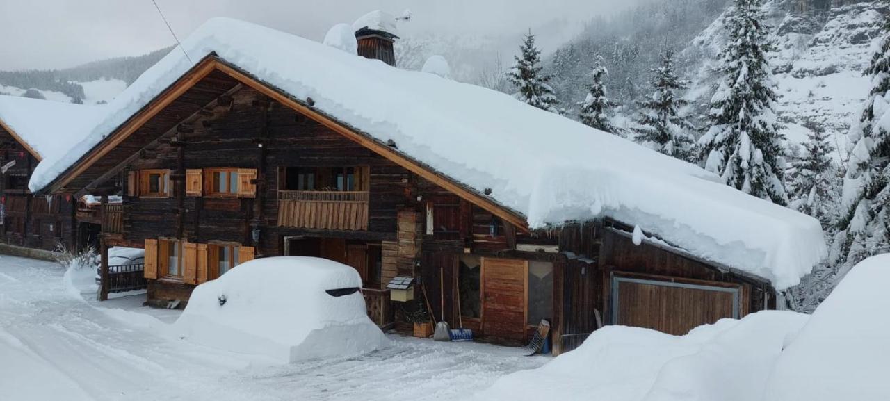 Charmieux Appartement En Chalet Typique Le Grand-Bornand Dış mekan fotoğraf